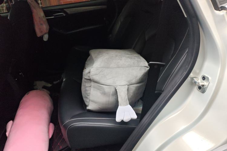 Used Roewe RX5 New Energy 2019 eRX5 50T Internet-Enhanced Flagship Edition Left Rear Seat