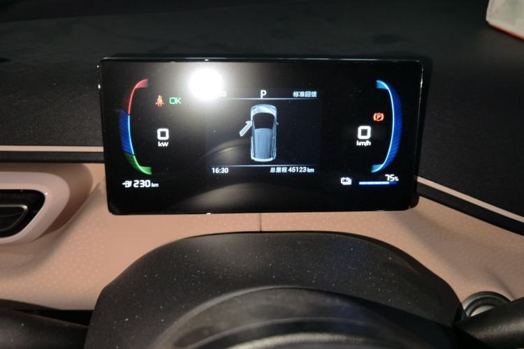 Used BYD Seagull 2023 Free Edition