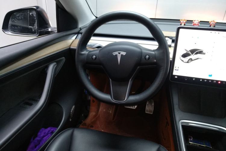 Used Tesla Model Y 2021 Standard Range Rear-Wheel Drive Version