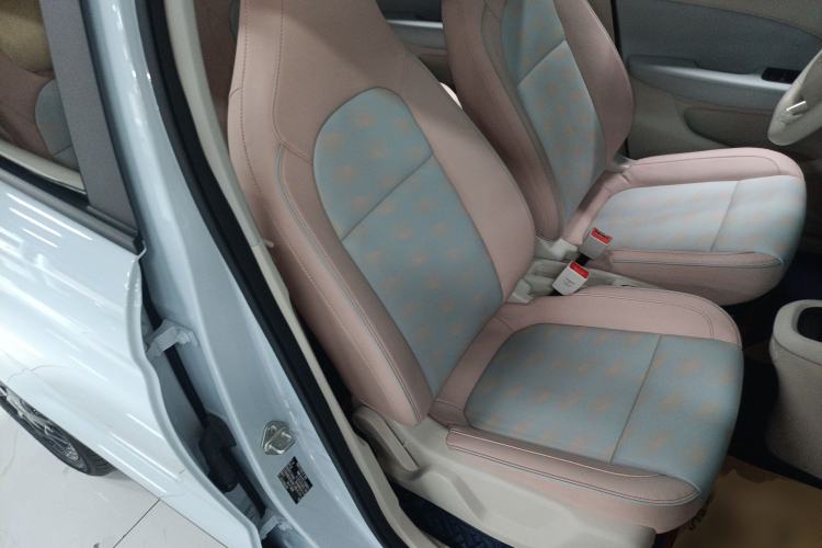 Used Leapmotor T03 2023 310 Lite Edition Right Front Seat