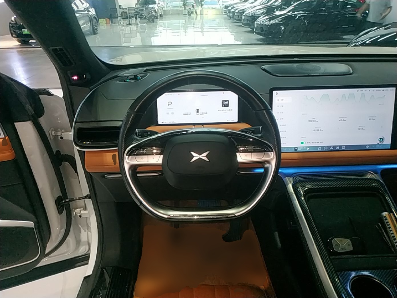 XPeng G9 2022 702 Pro — снимка 13