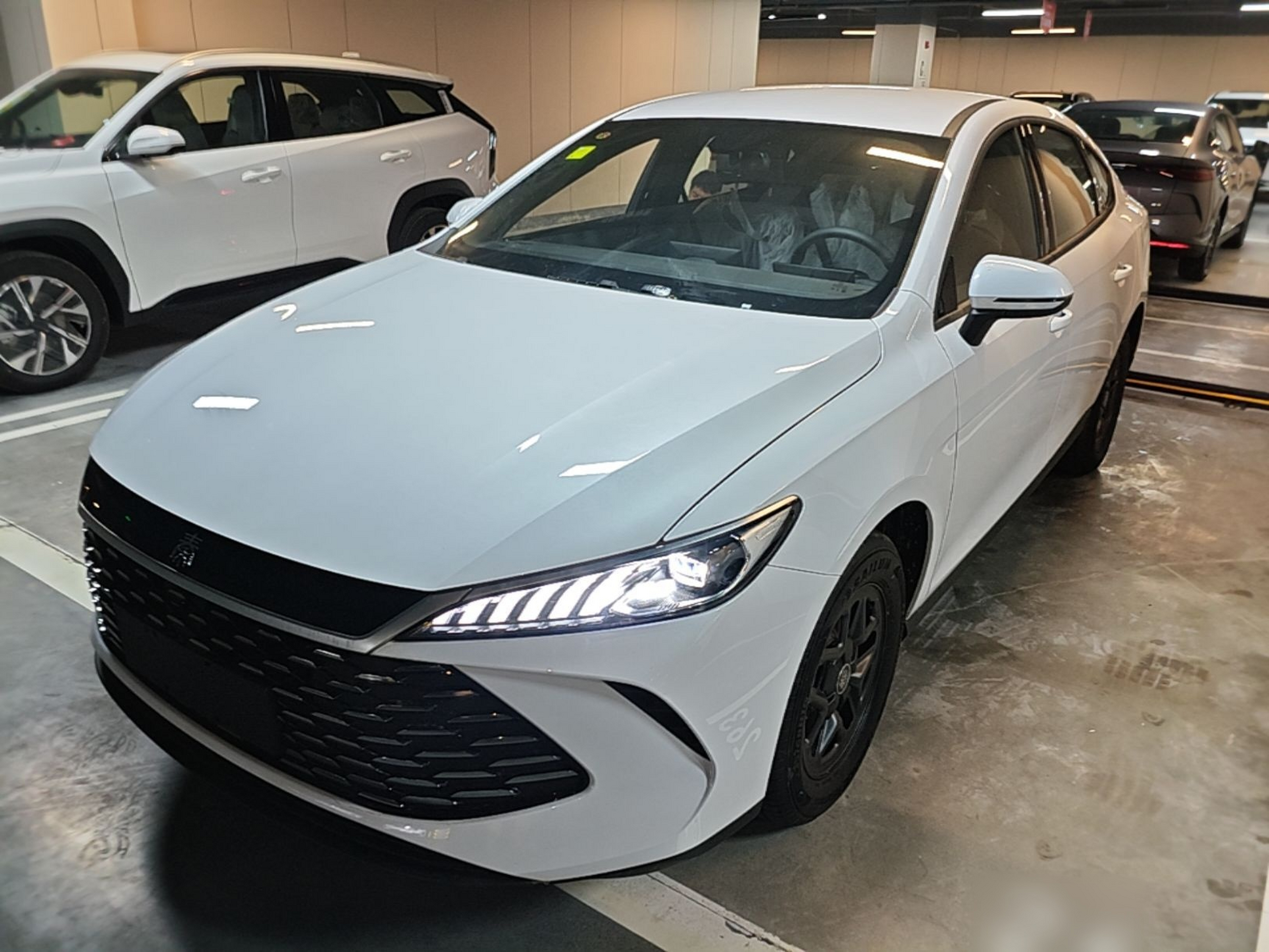 Under Front Bumper
