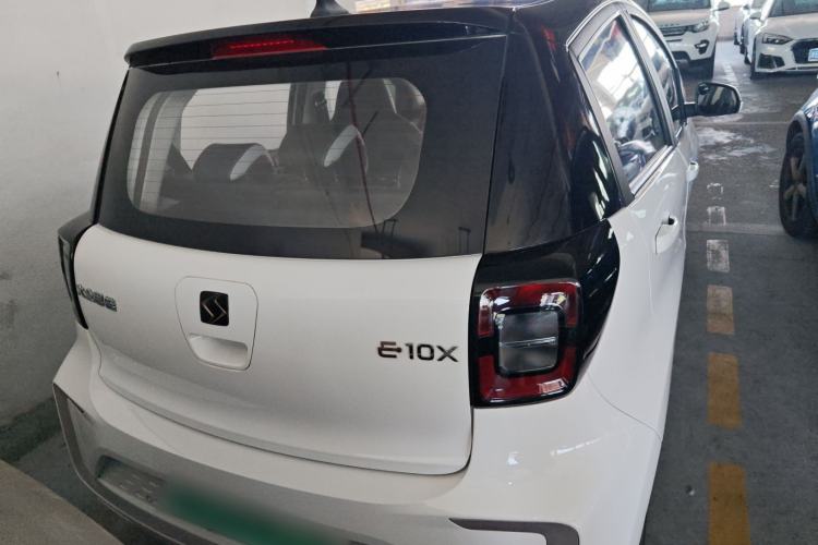 Used SOL E10X 2022 Flower Fairy Style Baby's Breath