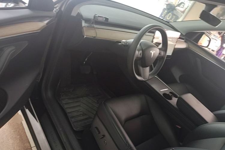 Used Tesla Model Y 2021 Standard Range Rear-Wheel Drive Version
