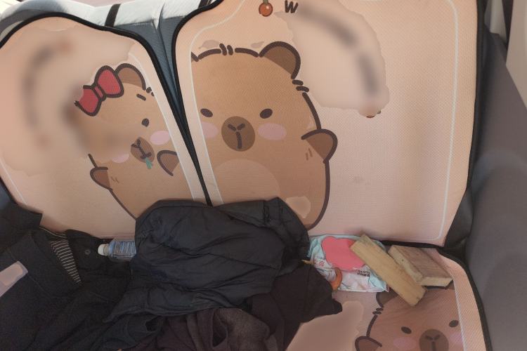 Used Bestune Pony 2025 222km Lightning Horse
