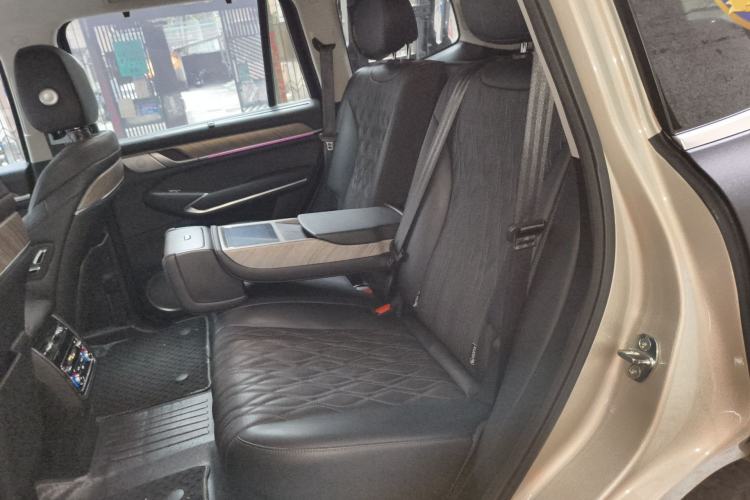 Used Tank 500 2022 3.0T Sport Edition "Creation" Version 5-Seater Left Rear Seat