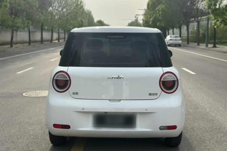 Used CHANGAN NEVO Lumin 2025 205km Refreshing Edition Exterior 5