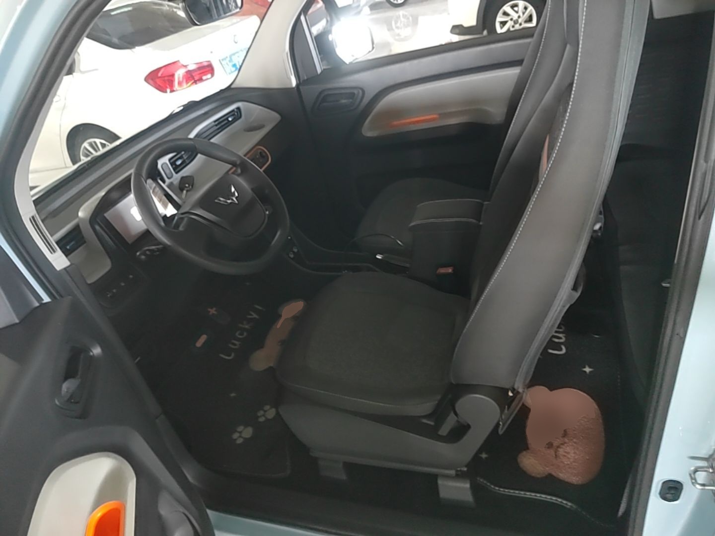 Interior delantero