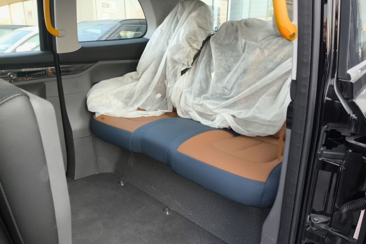 Used LEVC TX 2023 TX5 Extended-Range Travel Edition
