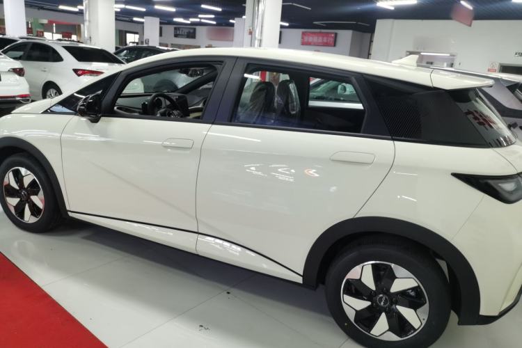 Used BYD Dolphin 2025 420km Free Edition Rear Left 45 Deg