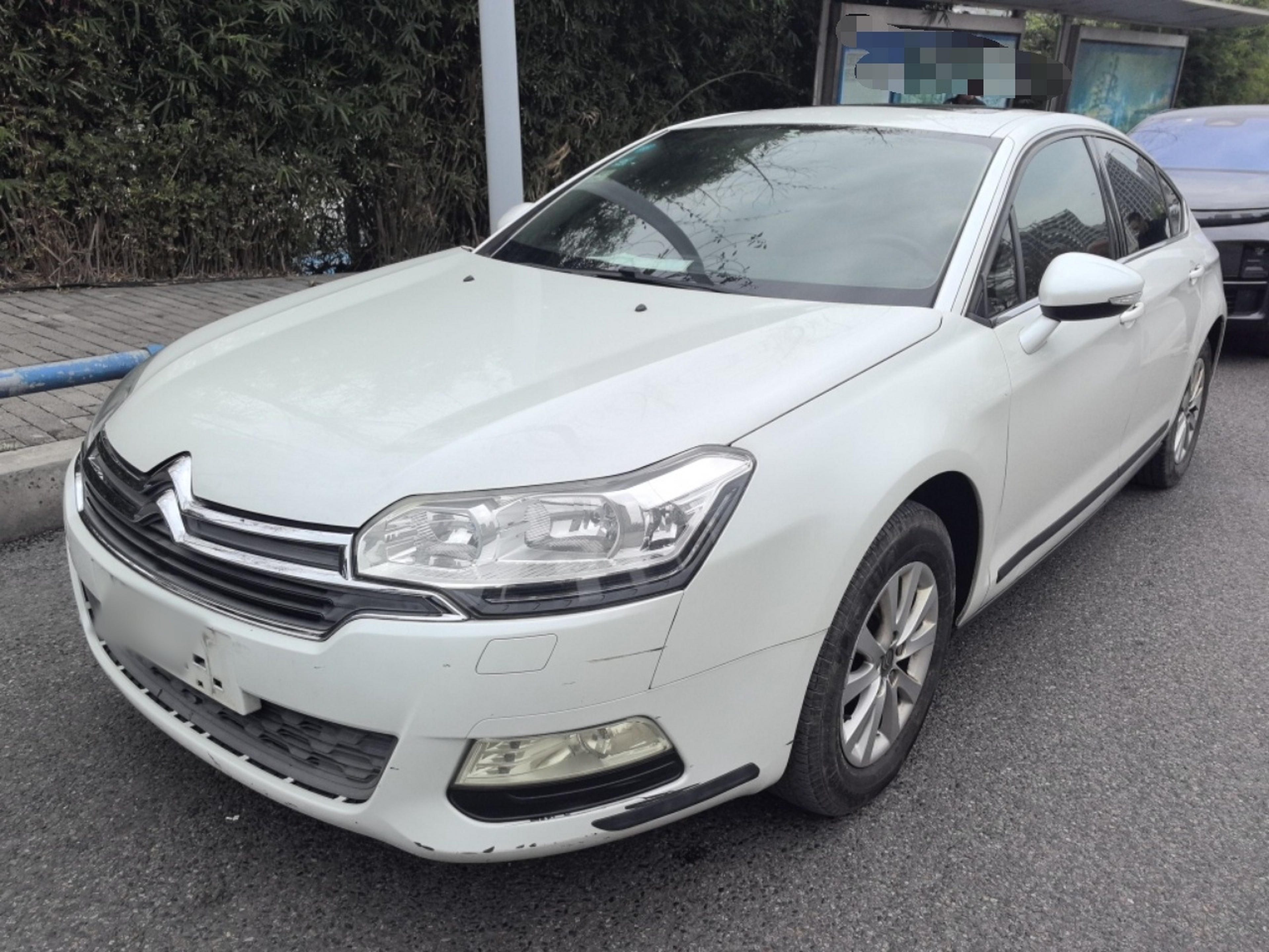 Parte inferior delantera