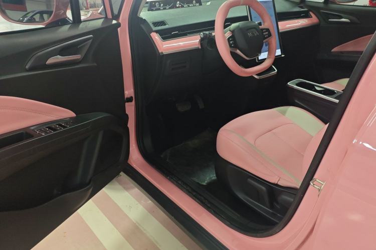 Used NETA V 2021 Witch Edition
