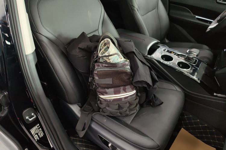 Used Hongqi HS3 PHEV 2025 Model 117km Jingwei Edition Right Front Seat