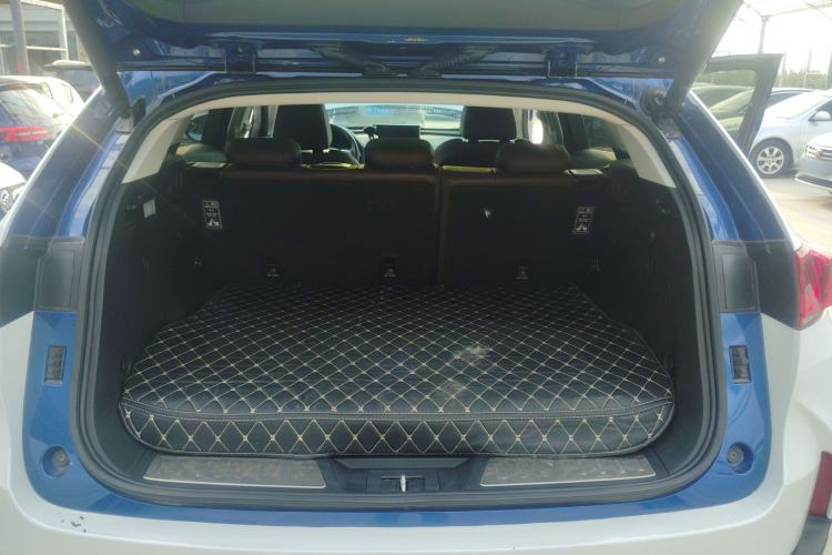 Used Wey P8 2018 2.0T Flagship Model