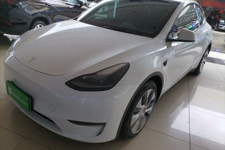 Used Tesla Model Y 2021 Standard Range Rear-Wheel Drive Version
