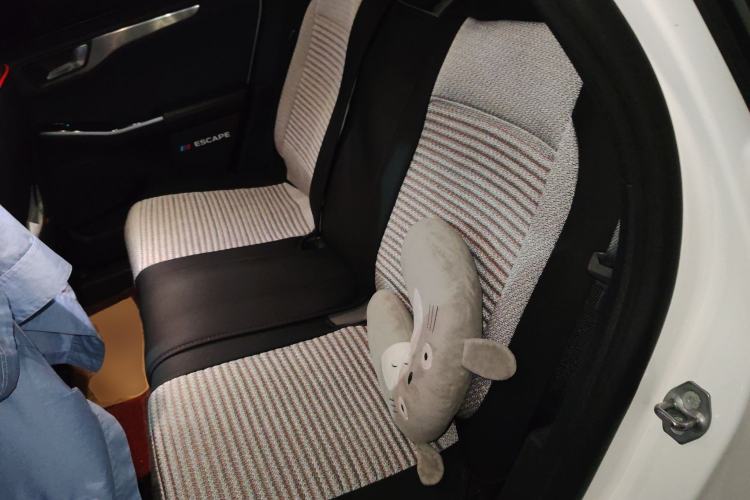 Used Ford Escape 2020 EcoBoost 245 Four-Wheel Drive Luxury Edition Left Rear Seat