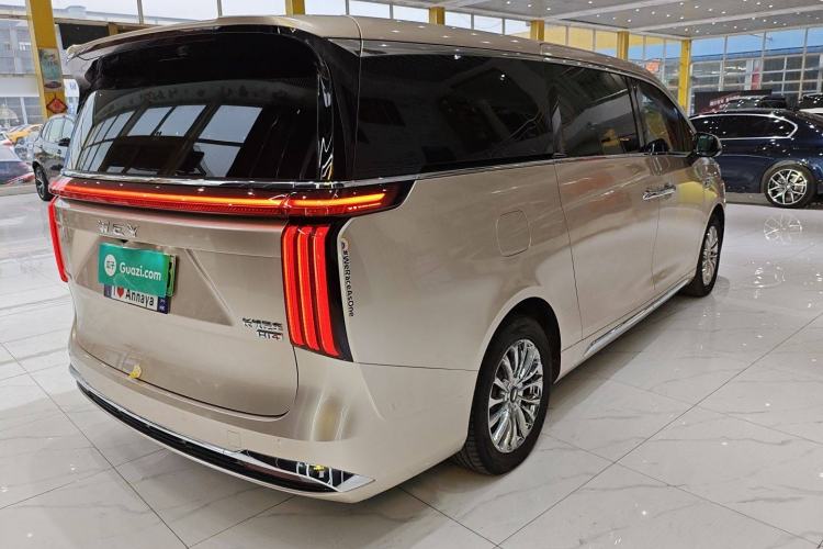 Used Wey Gaoshan 2023 Four-Wheel-Drive Executive Extended Version
