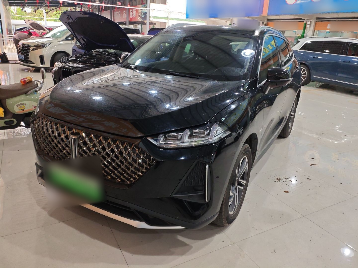 Parte inferior delantera