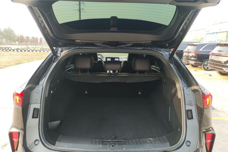 Used Wey Mocha 2021 2.0T Four-Wheel Drive Premium Edition
