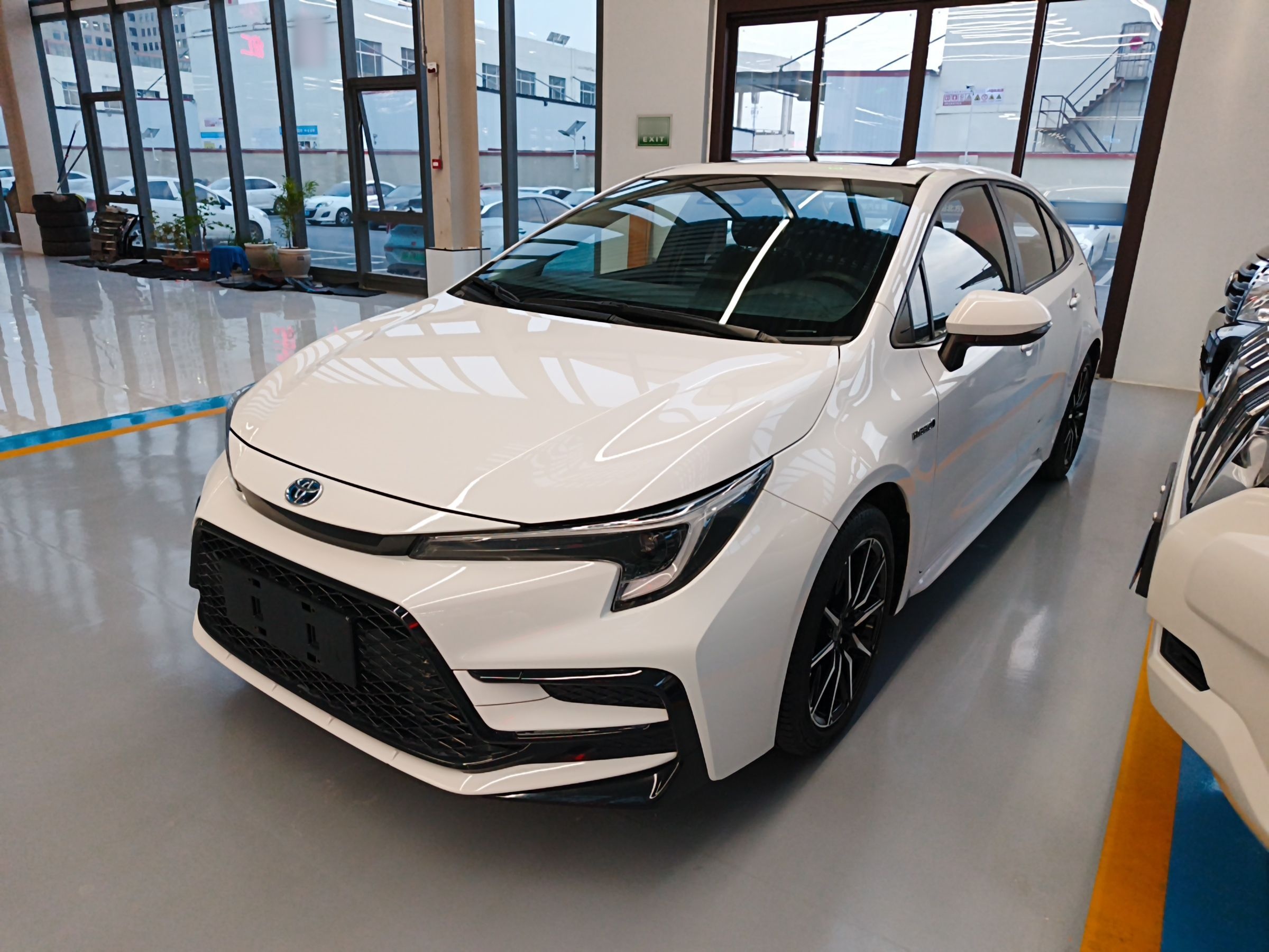 تحت مقدمة السيارة