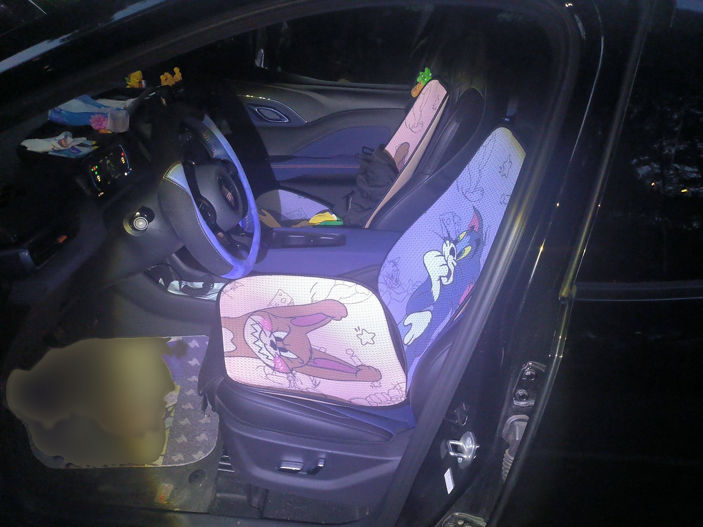 المقاعد الأمامية داخل السيارة