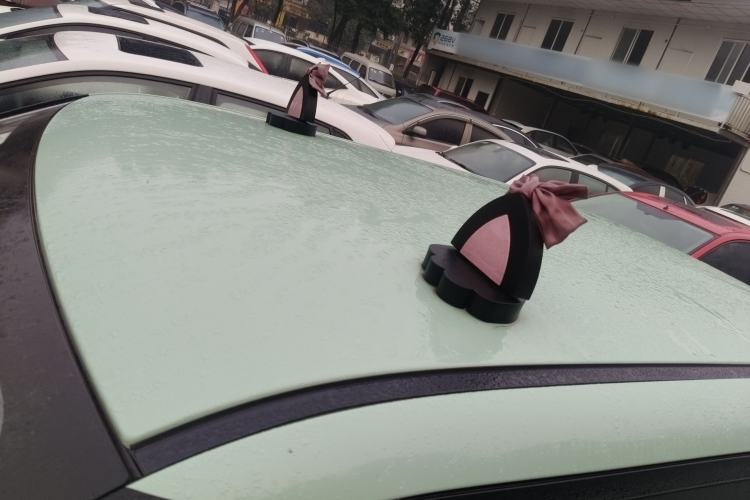 Used Qiyuan Lumin 2022 210km Sweet Edition
