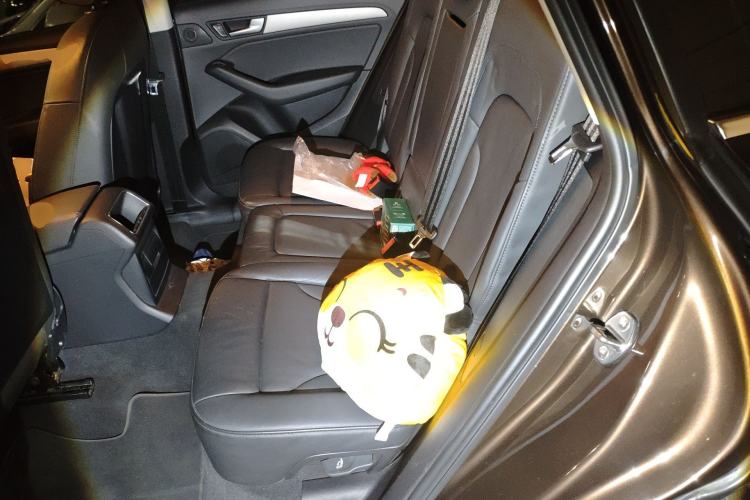 Used Audi Q5 2017 40 TFSI Ambition Edition Left Rear Seat