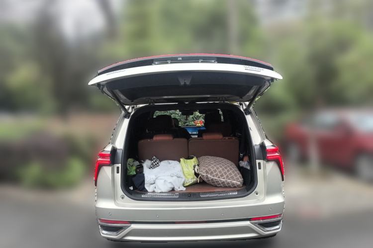 Used Wey Lanshan 2023 Four-Wheel Drive Ultra-Long Range Version
