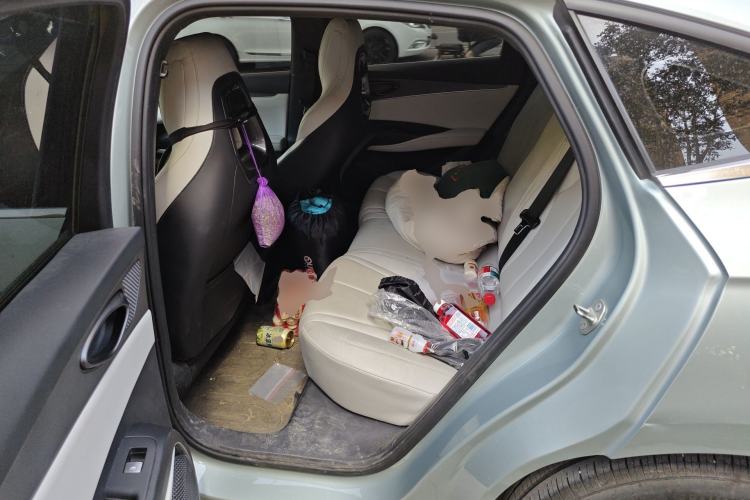 Used BYD Seal 06 New Energy 2024 DM-i 80KM Luxury Model Left Rear Seat