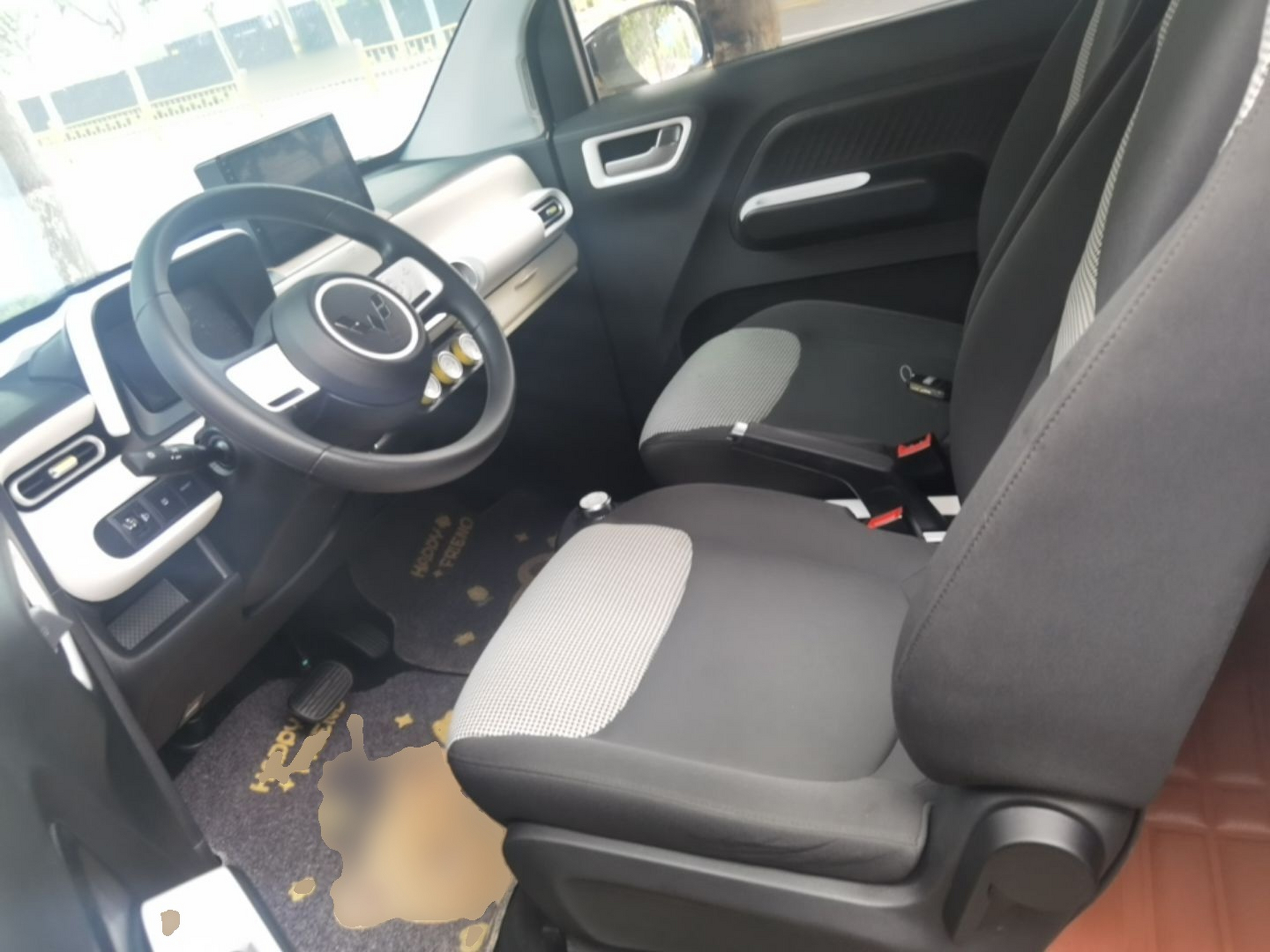 Interior delantero