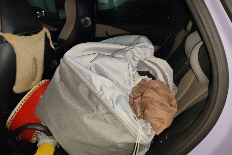 Used BYD Dolphin 2023 420 km Fashion Edition Left Rear Seat