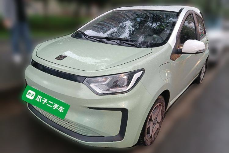 Used SOL E10X 2022 Flower Fairy Style Baby's Breath