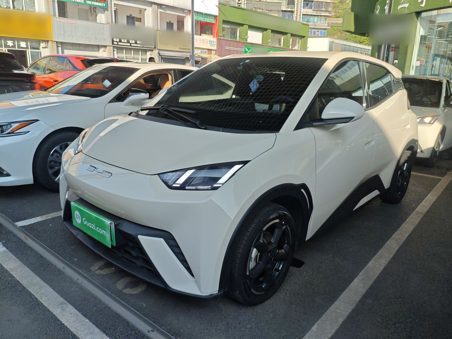 Parte inferior delantera