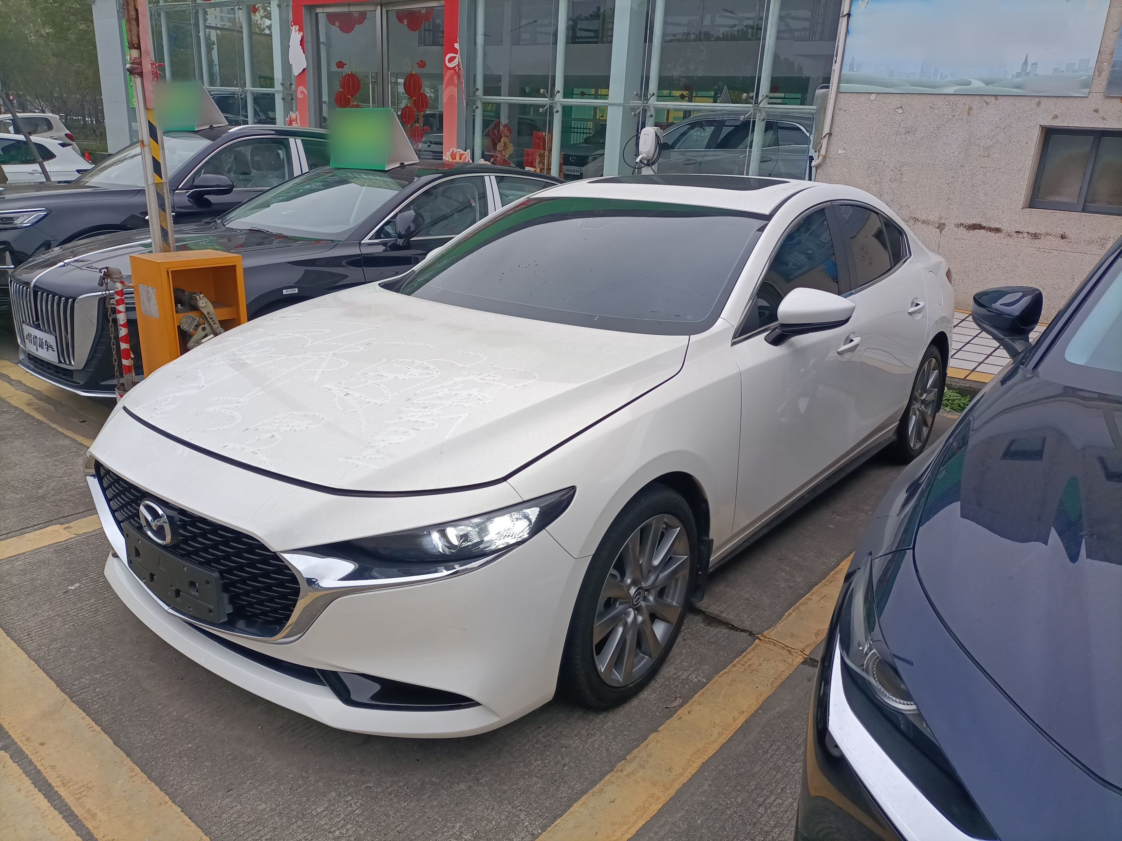 Parte inferior delantera