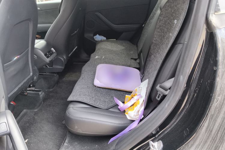 Used Tesla Model Y 2021 Standard Range Rear-Wheel Drive Version
