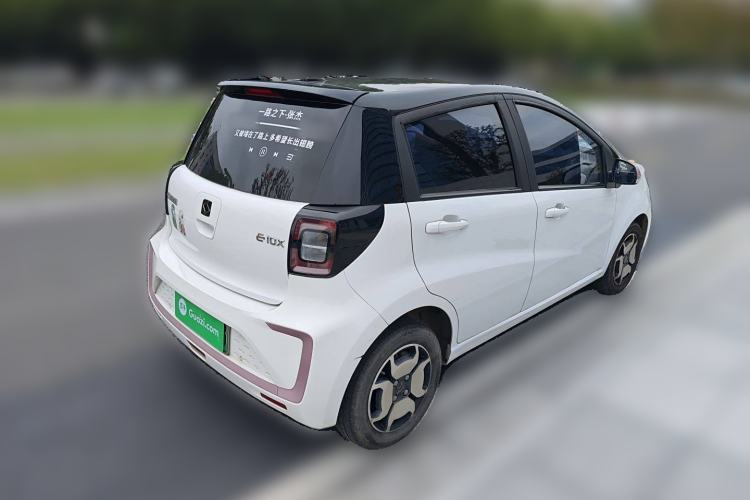 Used SOL E10X 2022 Flower Fairy Style Baby's Breath