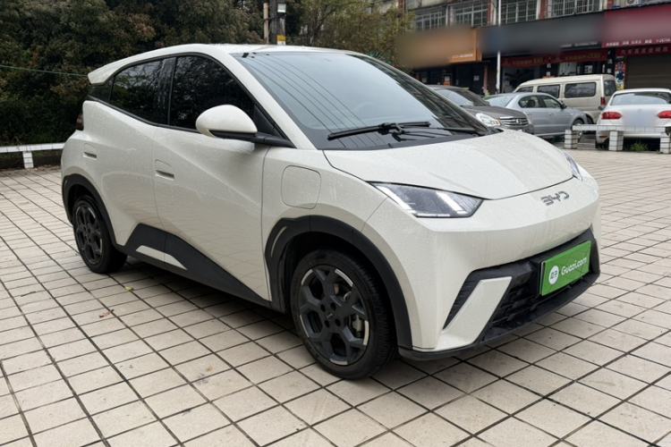 Used BYD Seagull 2025 305 km Free Version