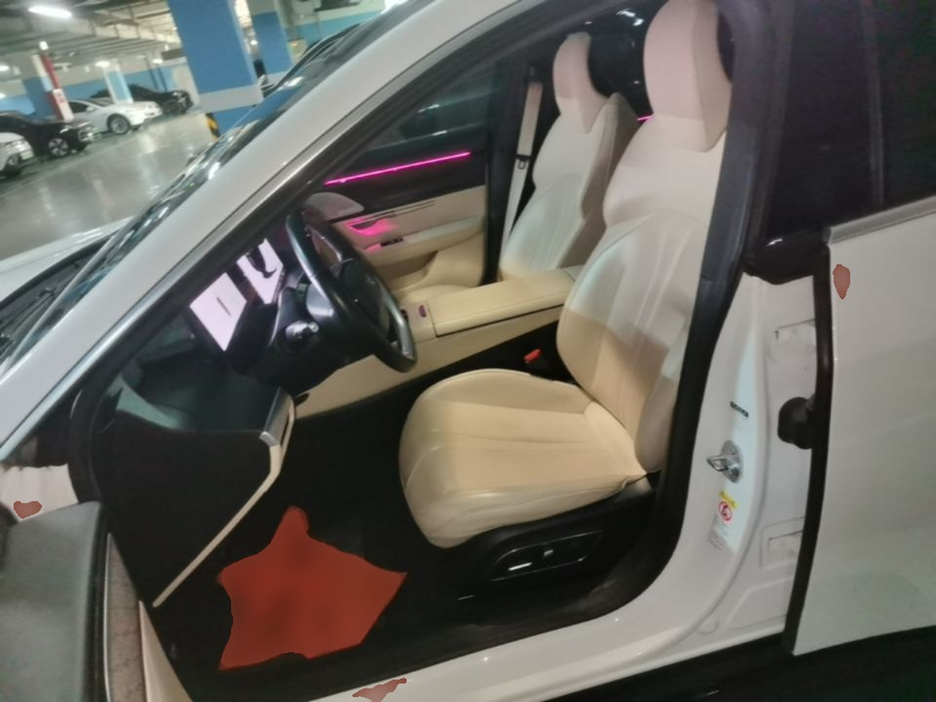 Interior delantero