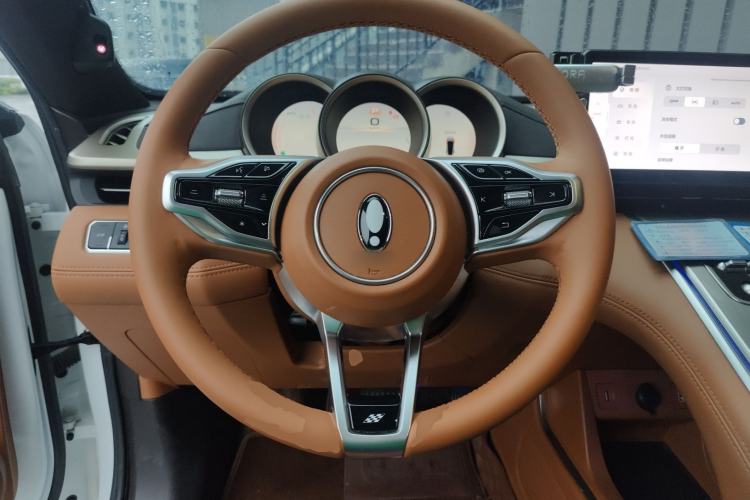 Used ORA Lightning Cat 2022 555 km Luxury Edition