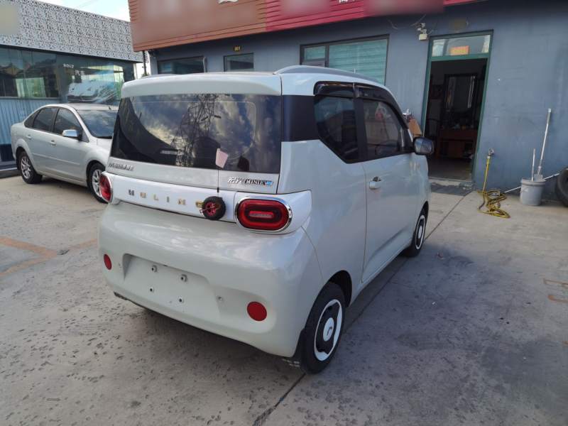 Used Wuling Hongguang MINIEV 2024 3rd Generation 170 km — 6
