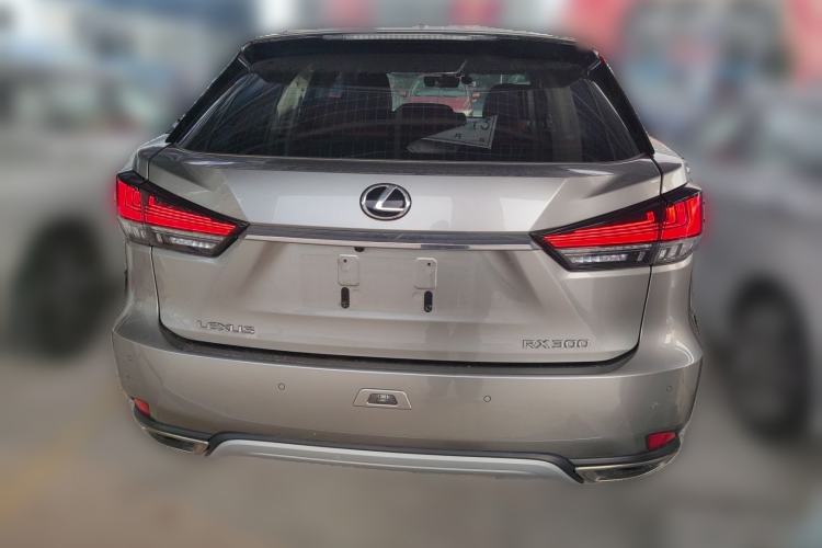 Used Lexus RX 2020 300 Two-Wheel Drive Elite Edition China VI Standard