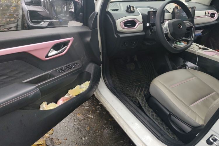 Used SOL E10X 2022 Flower Fairy Design Four-Leaf Clover
