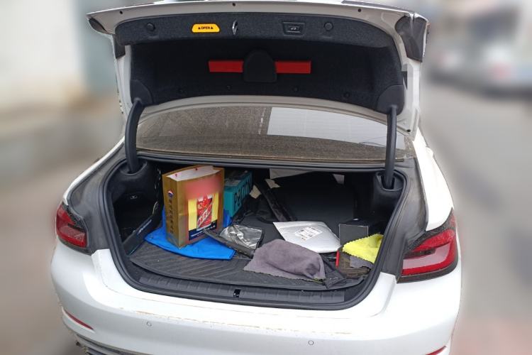 Used BMW 5 Series New Energy 2019 530Le Luxury Package
