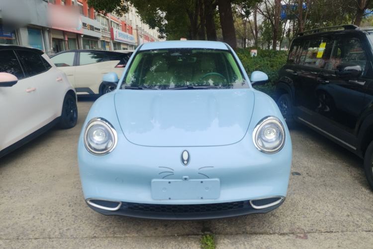 Used ORA Good Cat 2023 401 km Standard Range Luxury Version Lithium Iron Phosphate
