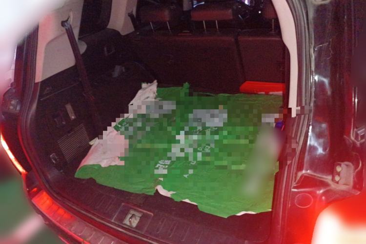 Used GAC Trumpchi GS8 2017 320T Four-Wheel Drive Luxury Smart Connectivity Version (7 Seats) Trunk