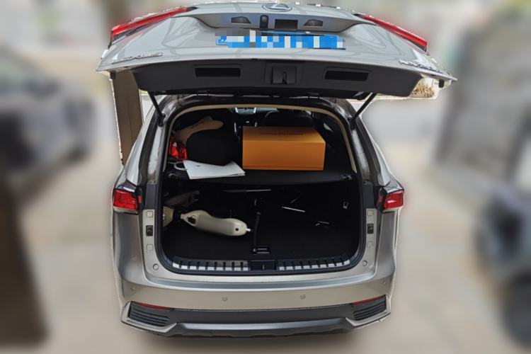 Used Lexus NX 2018 200 Front-Wheel-Drive X-Trail Version China V Standard
