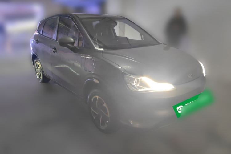 Used NETA V 2021 Long-Range Entertainment Edition Upgrade Model