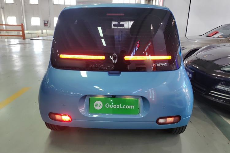 Used ORA White Cat 2020 305 km Luxury Version
