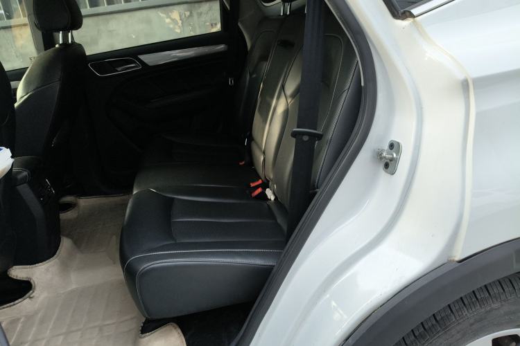 Used Roewe RX5 2018 20T Two-Wheel Drive Automatic Flagship Edition Left Rear Seat