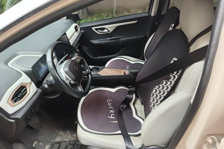 Used SOL E10X 2022 Flower Fairy Style Baby's Breath